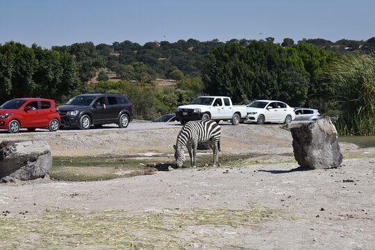 Tour image 5