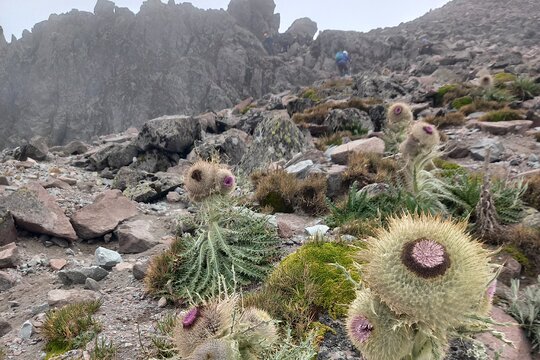 Tour image 8